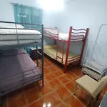 Naranjos * Cordoue