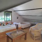 Naranjos *